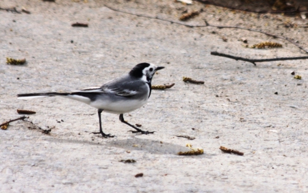 ���������������� ��������� � ����� ������ � ����� �. ����� � ���