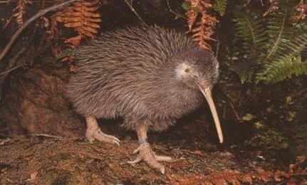 ������ ������ � ������� ������� ���� ������ ����  ����