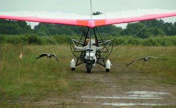 �� ���� ��������� �� ������ ������� �������