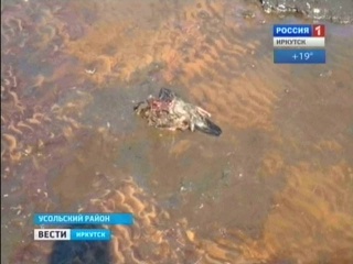 ��-�� ������� ���������� ������� �� ������ ������ �����