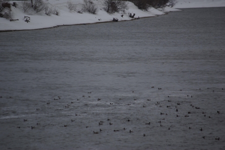 ����� ������������ ����� ������������� ���� 2011 � 