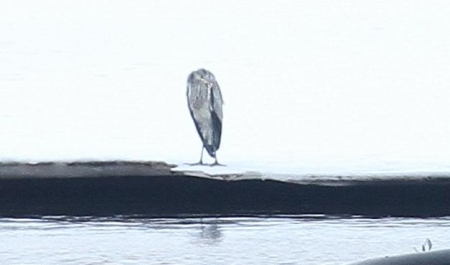 ��������� ��������� � ������� 2012 ����