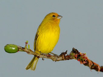 � ������������ �������� ��� ������ ����