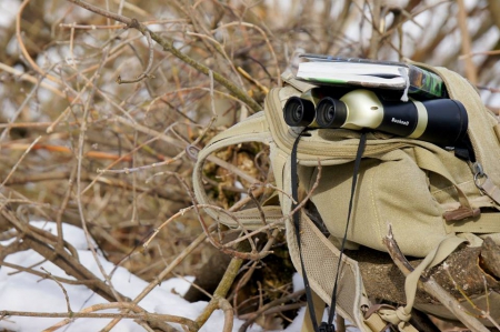 �������� ���������������� ���������