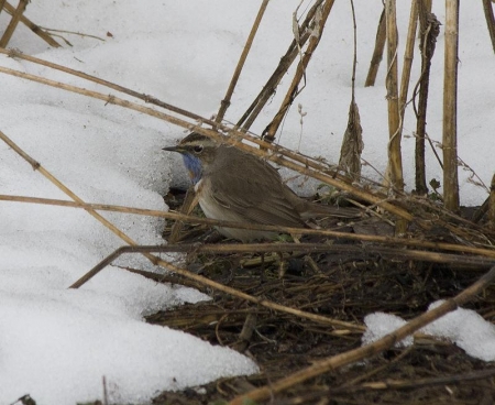 �����-2012, ���� �� ����. 10 ������