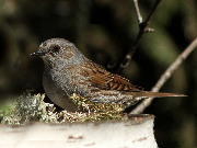 ��������� ������