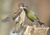 ����������:  3643
04 ������ 2006 �., ������������� �-�, ����.���.