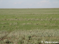 � ����� ��������� ����� 10 ����� ������� ��������. ����� �� ����������� � ��������.