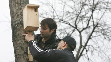 �������� ��������� �������� �������� ���� "���������"