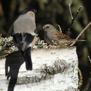 ��������� ������ � ���������