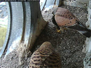 � �������� ��������� �� �������-���������� ������ � �������� ������ ���!