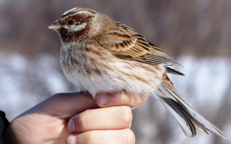 ����� - 2013. ������������ ����, 25 �����-1 ������ 