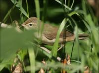 ������� �� ������ - � ���-�� ������������... �� �� � ������, ����� �������, �� � ����� ��� ��� (�� ��������� ����), �� ���� �������