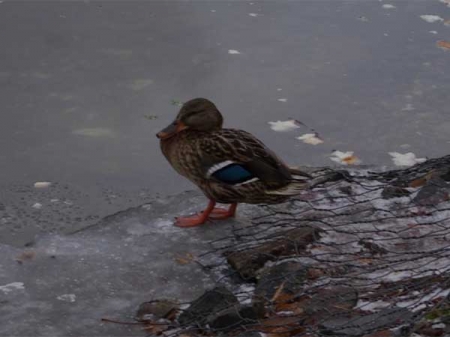 �� ����� ������������� ��������� � ������ ������ ������