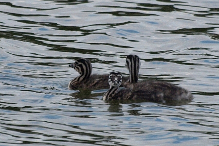 ����� � �������: ������� �������