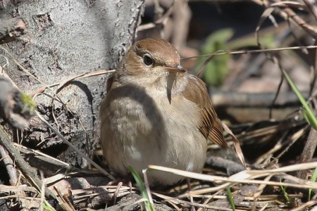 ����� � 2013. ���������� ������, ������ ���