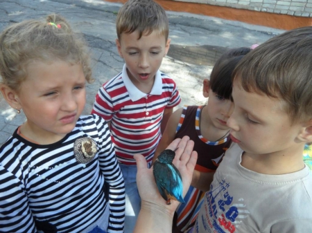 � �������� ��������� � �������-�������