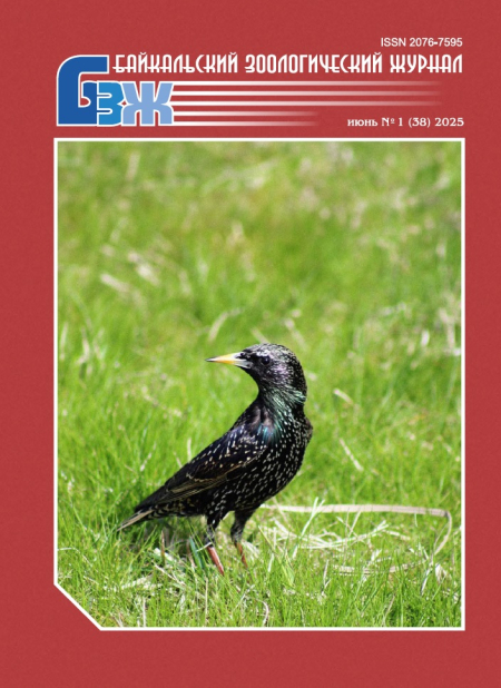 ����������� ����� ����� "������������ �������������� �������"