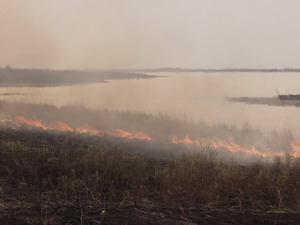 ����� ��������� � ���������� ����������.