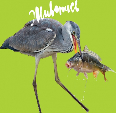 ������� ��������  ����������