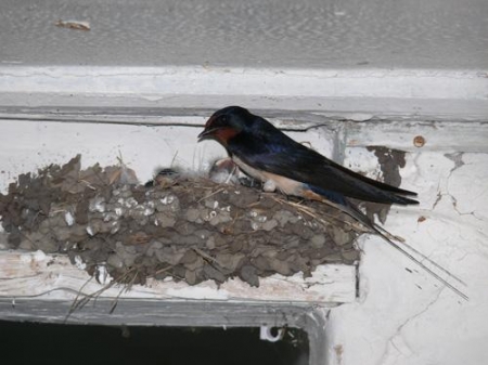 �������� � ������� ����� ���������