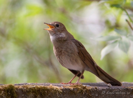 ���������� ��������� ��������� ��������