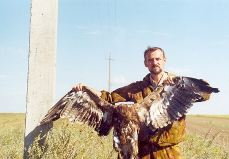 ������������� ������ � ����������