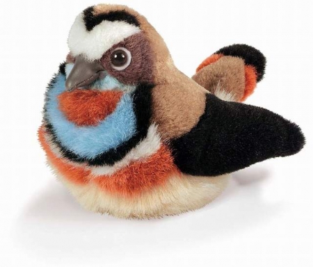 ���� ���� � ����������� �����