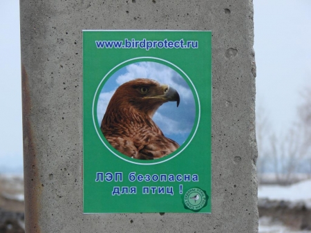 ����������� ��������� - 2011 � ��������