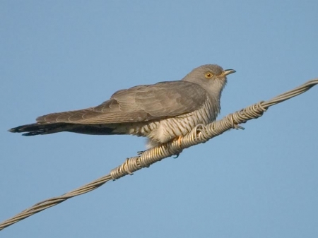 ����� � 2011: ���� �� ����. 24 ������