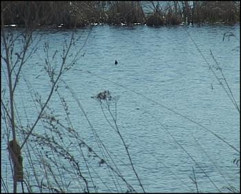 � �������� ����� ������ �������� "������ ������"