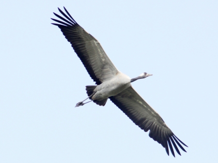 �����-2020: ���� �� ����, 26 �����