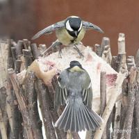 10 ������ 2011 ����.