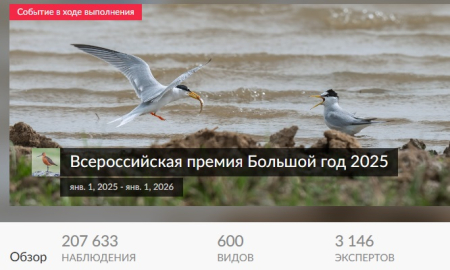 ����� ���� � 6 ������� ����� ��������� "�������� ����"