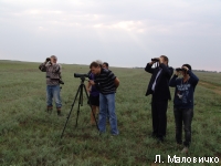 �. ����������, ����� �������, ������ �������, ����� �����������, ���� ������