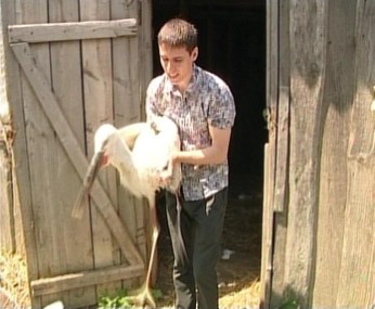 ����� �������� �  ���������� ����������