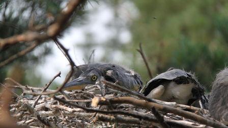 � ���� �������������  ����������� ������� ���������� ����� �����