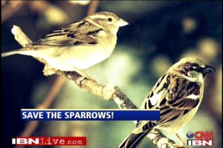 ������� ������� �������� ������-��������  ����� ���� 