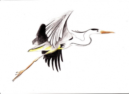 ����� 3 ������ ������� ��������-�������� ������ ��������