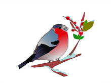  ������� �� ���������� ��������� ����� ����� �������� ���������-2014