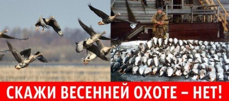 ���������� ��������� ����������� ���������� �������  � ������� �������� �����