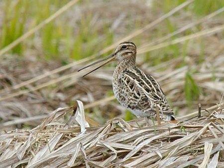 �� �������� � ������� ��������� 15% �������� ������� 