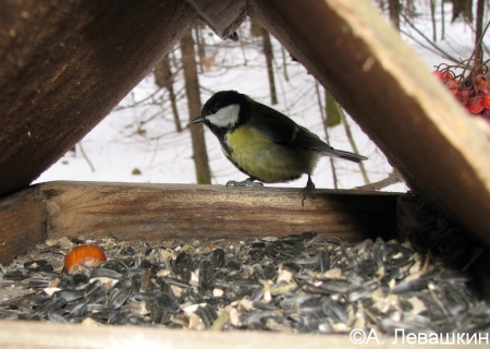 ����� ������ � ������ ��������� ����