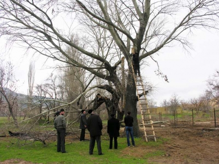 ���� ���� � ������������ �����������