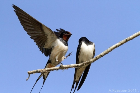 ����� � 2012: ���� �� ����.  6 ������