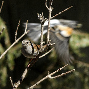 ��������� ������ �� ���� ����