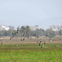 ������� ���� �������� ���������� � �����