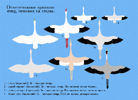 ������ ���������� �� ����� ����� ��������