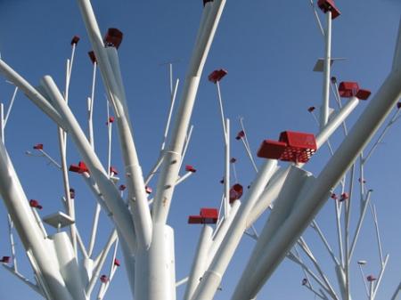  � ���� ��������� ���������� ���� ��������� ����!