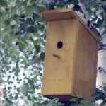 ������� �� ������������ ������������